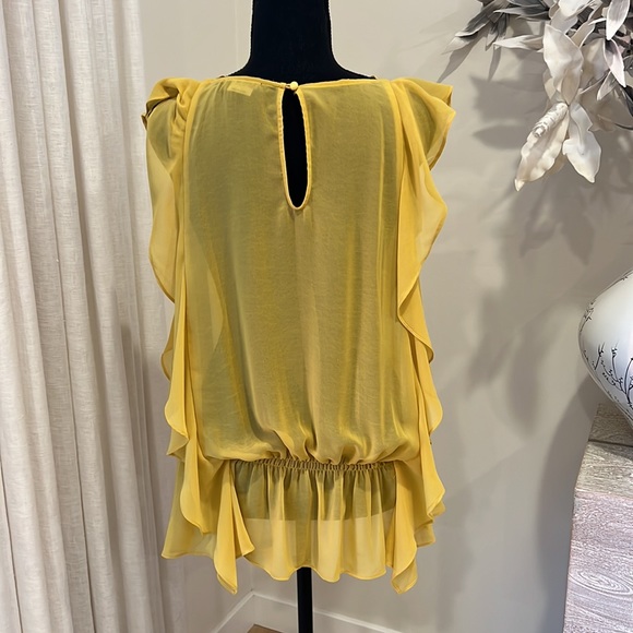 BCBG Maxazria  see-through top from France - Picture 3 of 4